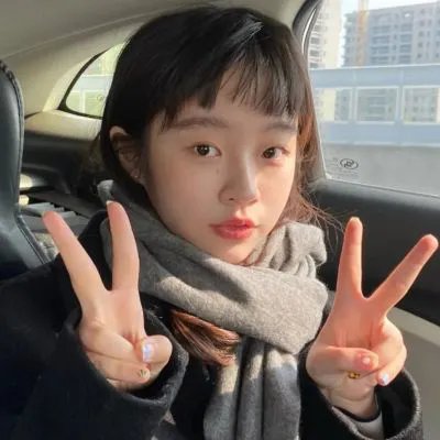 完美的独裁国家